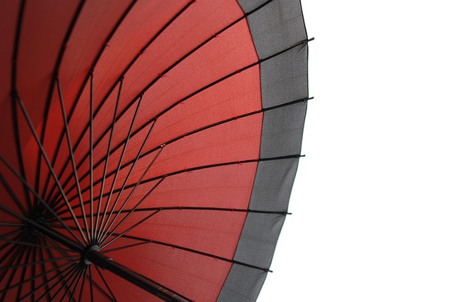 japan, umbrella, traditional