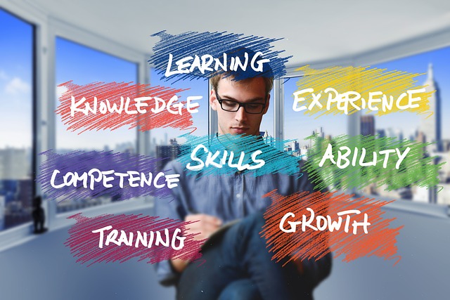 startup, freelancer, business