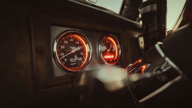 international, nature, truck